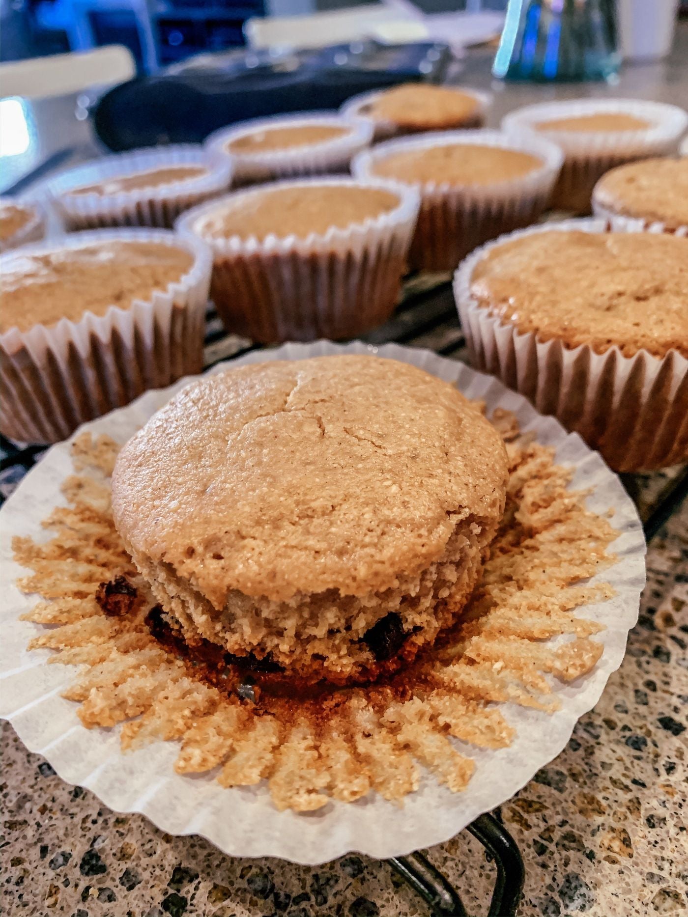 Chocolate Chip Collagen Muffins